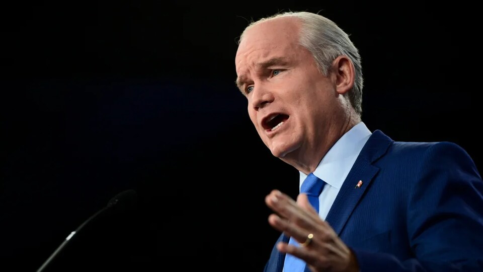 Erin O'Toole parle en conférence de presse.