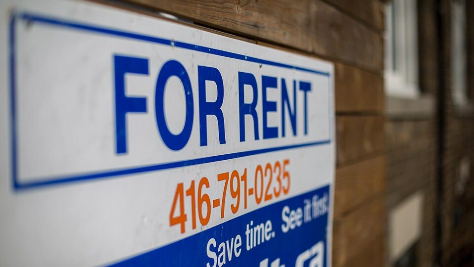Gros plan, de côté, sur une pancarte « For Rent » avec un numéro de téléphone de Toronto.
