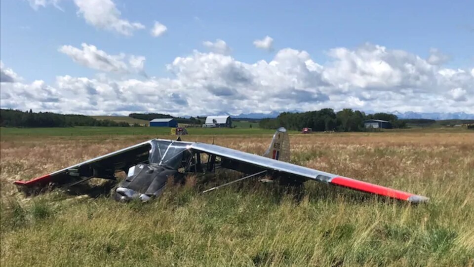 La carcasse d'un avion dans un champ, sous un ciel nuageux.