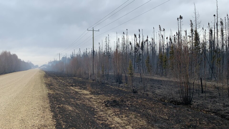 Des champs carbonisés en bordure d'une route.