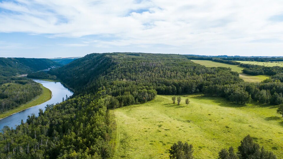 Vue aérienne d'une forêt et de plaines bordant une rivière sinueuse.