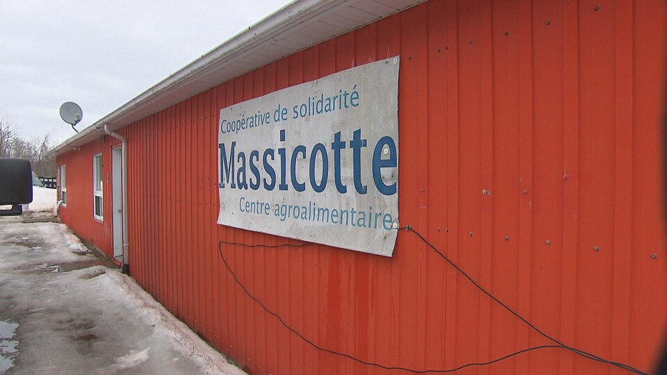 Une pénurie de vétérinaires menace l’ouverture de l’abattoir de Saint