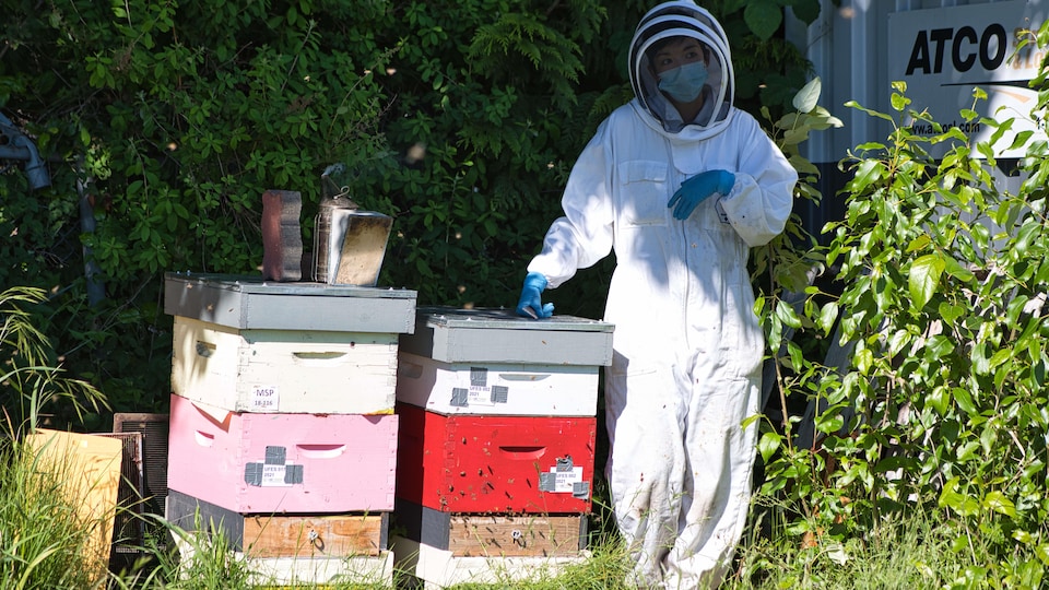 Alison McAfee devant une ruche.