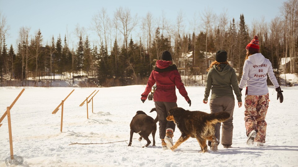 Trois femmes et des chiens marchent de dos sur un lac glacé l'hiver.