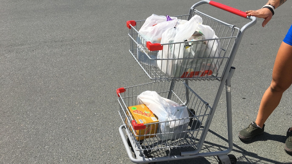 Un panier d'épicerie avec des sacs de plastique remplis de nourriture.