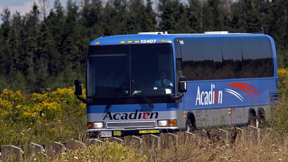 Un autobus voyageur bleu d'Acadian Lines circule sur une route rurale qui traverse un champ entouré de conifères, en été.