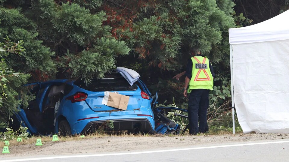 Une petite voiture se trouve dans un fossé sous les branches d'un gros arbre pendant qu'un policier se tient debout.