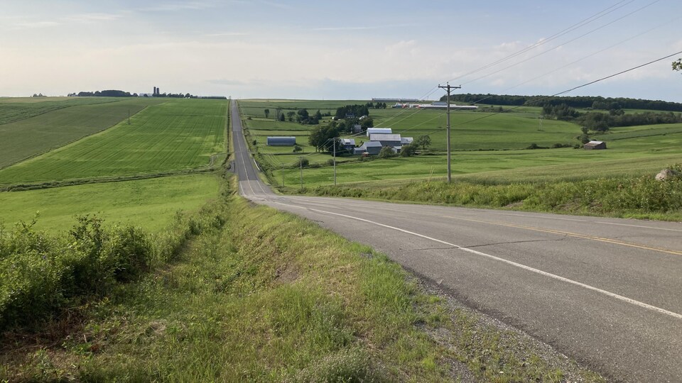 General view of a road in the middle of fields.