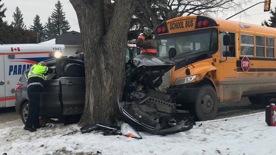 Une voiture écrasée entre un arbre et un autocar.