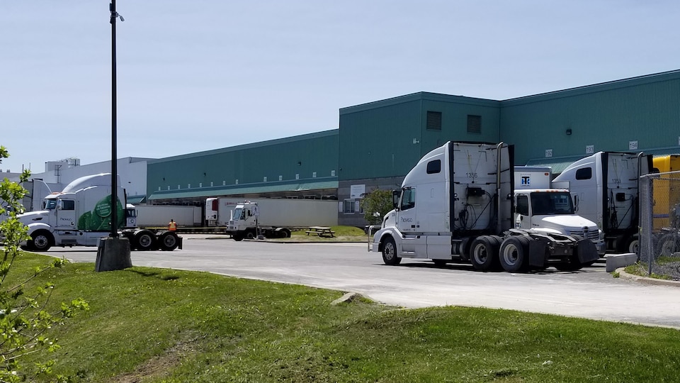 Plusieurs semi-remorques et autres camions sont stationnés près du centre de distribution.