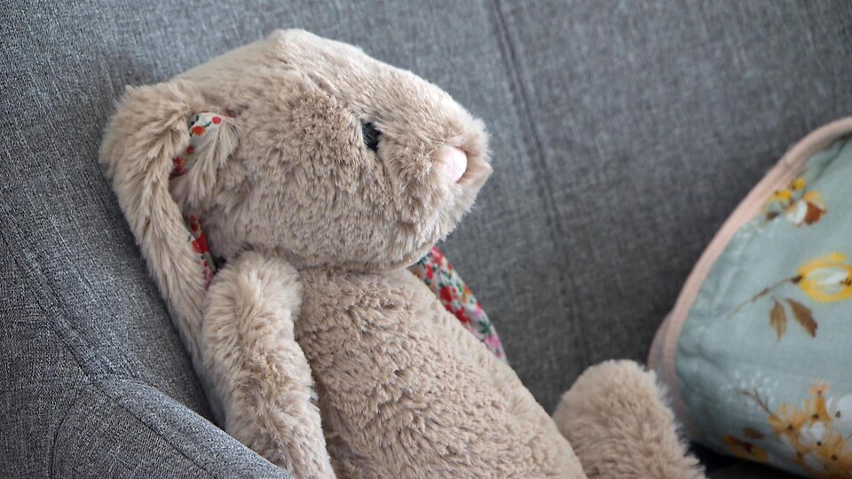 Un toutou dans une chambre d'enfant.