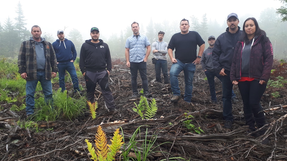 Des acériculteurs posent devant une forêt coupé par l'industrie.