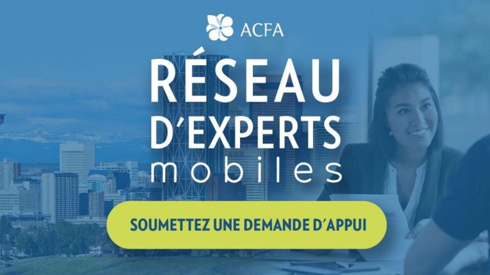 La bannière du Réseau d'experts mobiles.