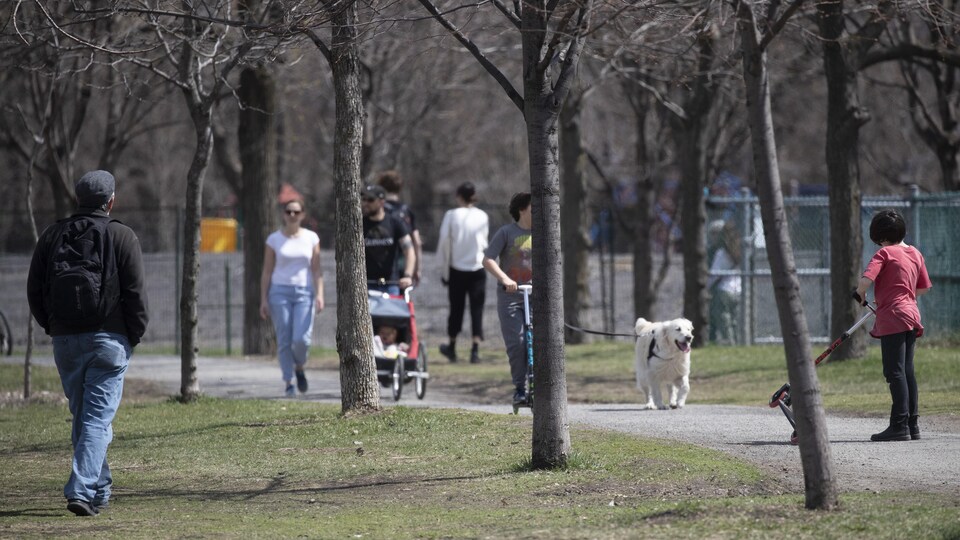 Des personnes se promènent dans un parc.
