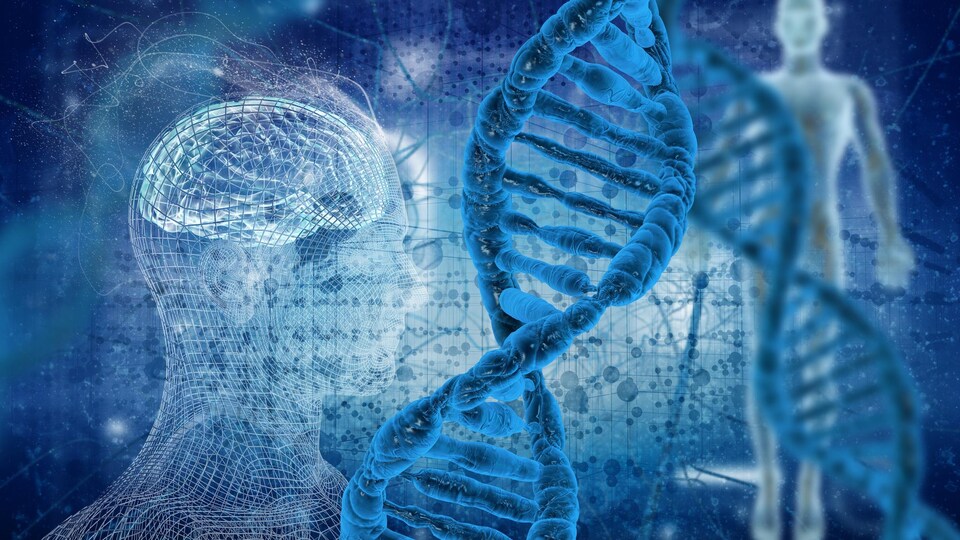 Illustration showing a DNA molecule.