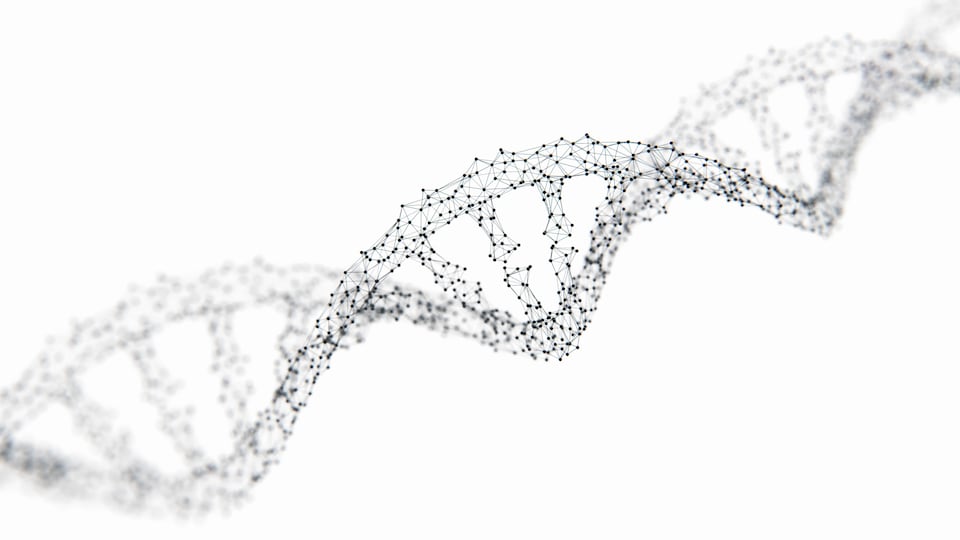 Un modèle de la structure à double-hélice de l'ADN humain.