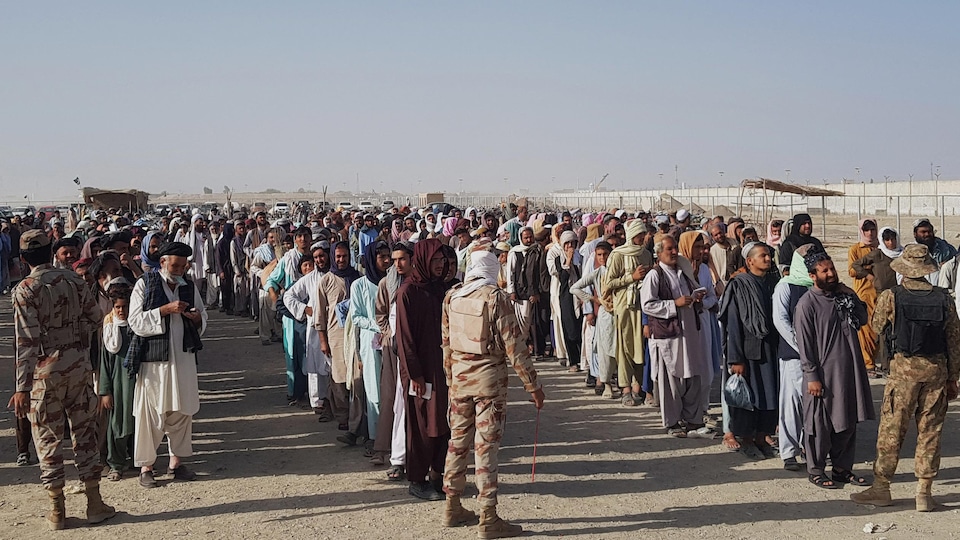 Des centaines d'Afghans attendent en rang, sous le regard de soldats pakistanais. 