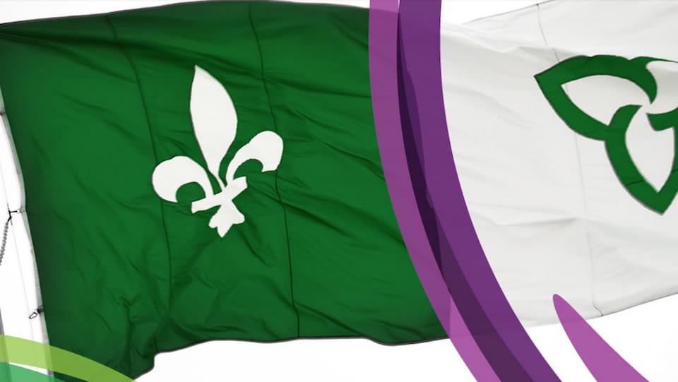 Le drapeau franco-ontarien en arrière-plan sur le site web de l'Assemblée de la francophonie de l'Ontario.