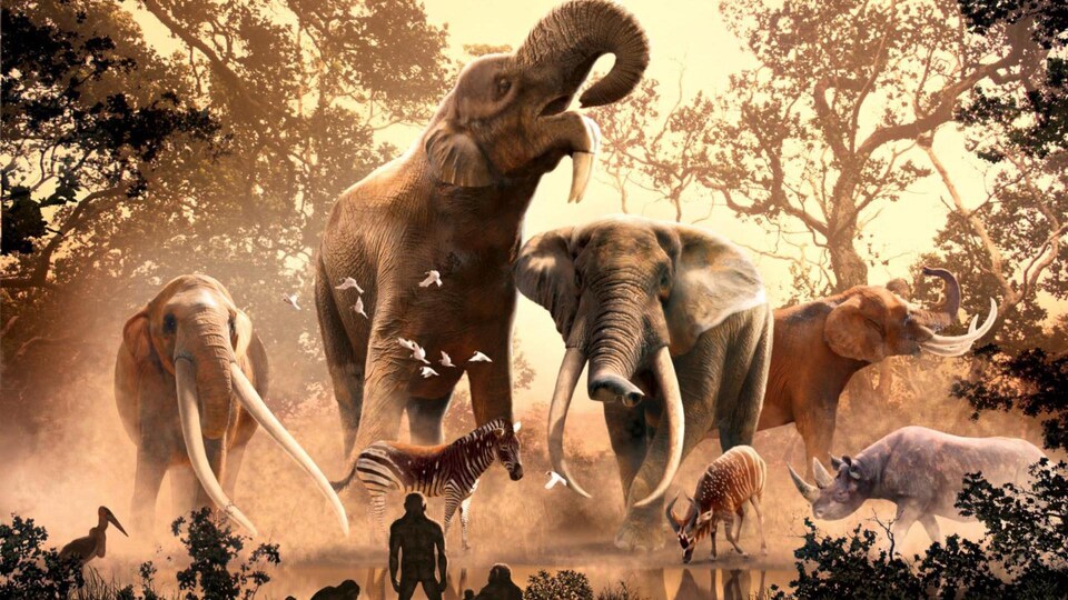 Illustration montrant des proboscidiens (mastodontes et ancêtres des éléphants) et des espèces du Cénozoïque.