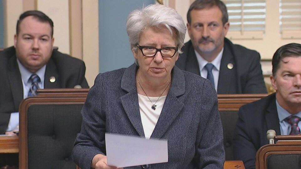 La députée Agnès Maltais a déposé une motion pour que les artefacts soient conservés dans la région de Québec.