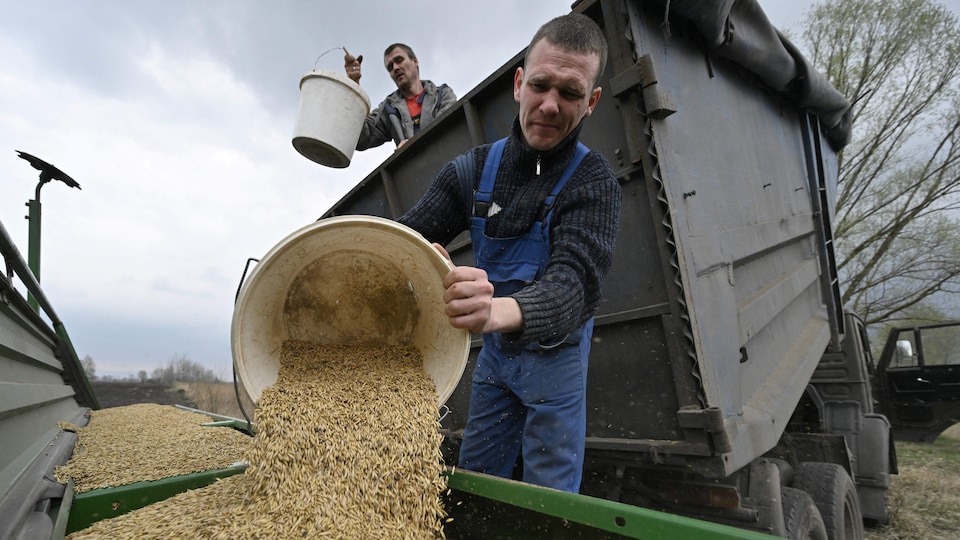 Farmers in Ukraine put oats in a seeder.
