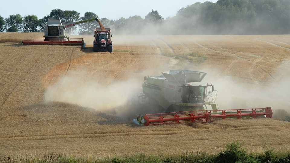 Des tracteurs labourent des terres agricoles. 