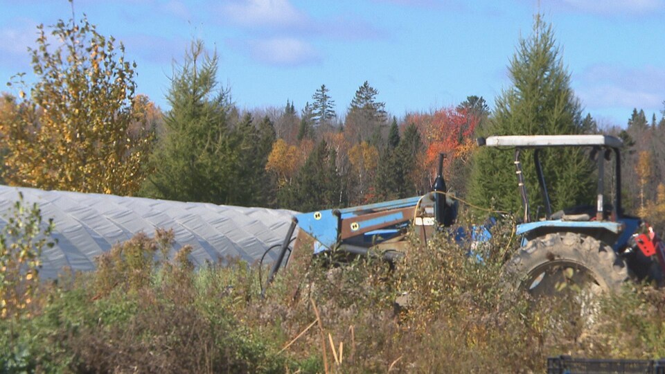 Un tracteur dans un champs.
