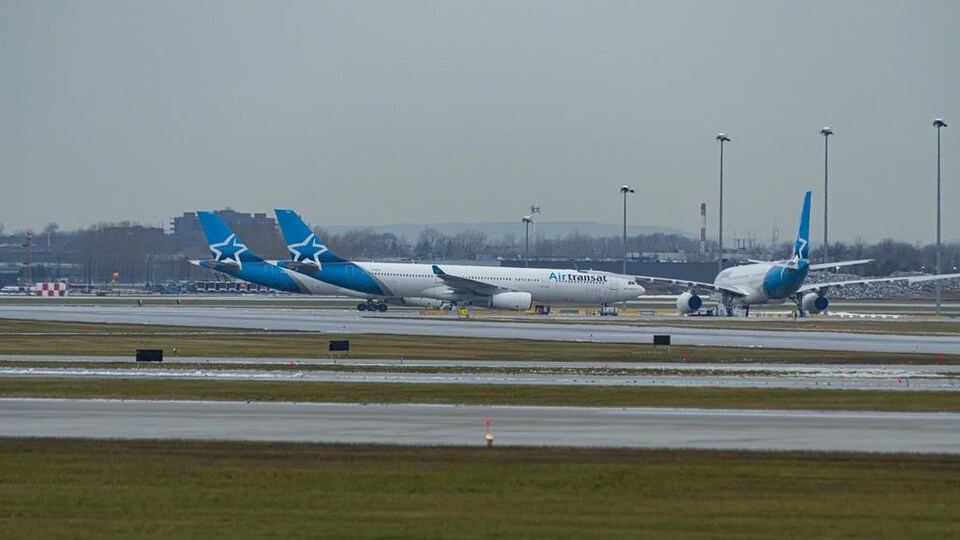 Plusieurs appareils de la compagnie sur le tarmac d'un aéroport.