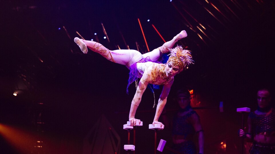 Une acrobate se tient sur ses mains en appui sur deux poteaux, le corps en équilibre dans les airs.