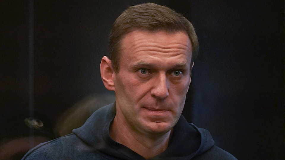 Photo d'Alexeï Navalny fournie par le tribunal de Moscou.