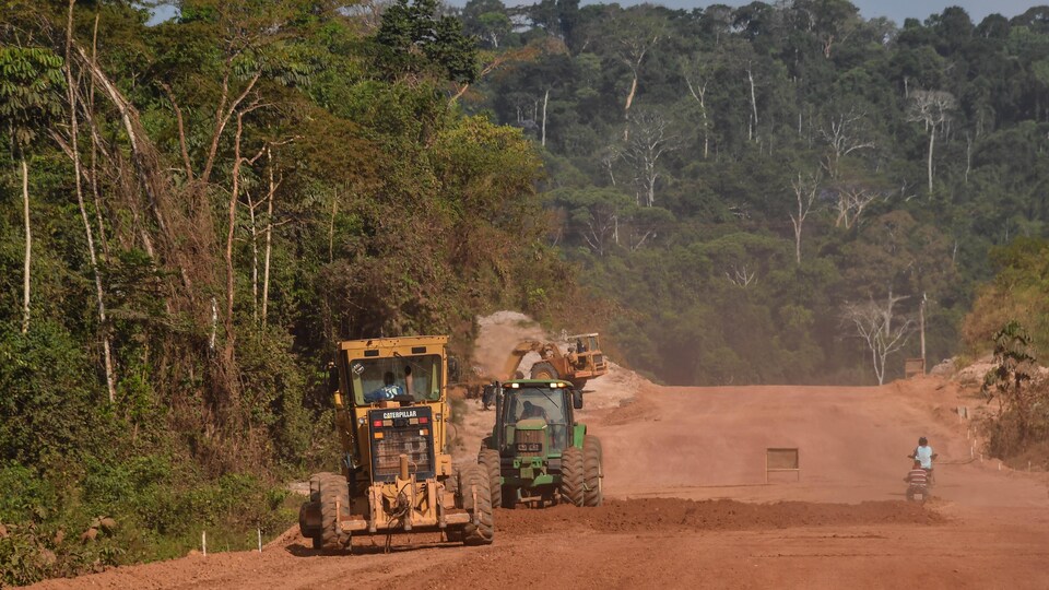 Des travaux de construction dans la forêt amazonienne.