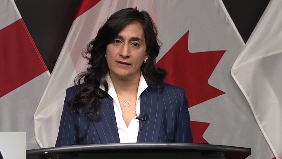 Anita Anand, in front of a lectern, kneels on the floor with some Canadian flags in the background 