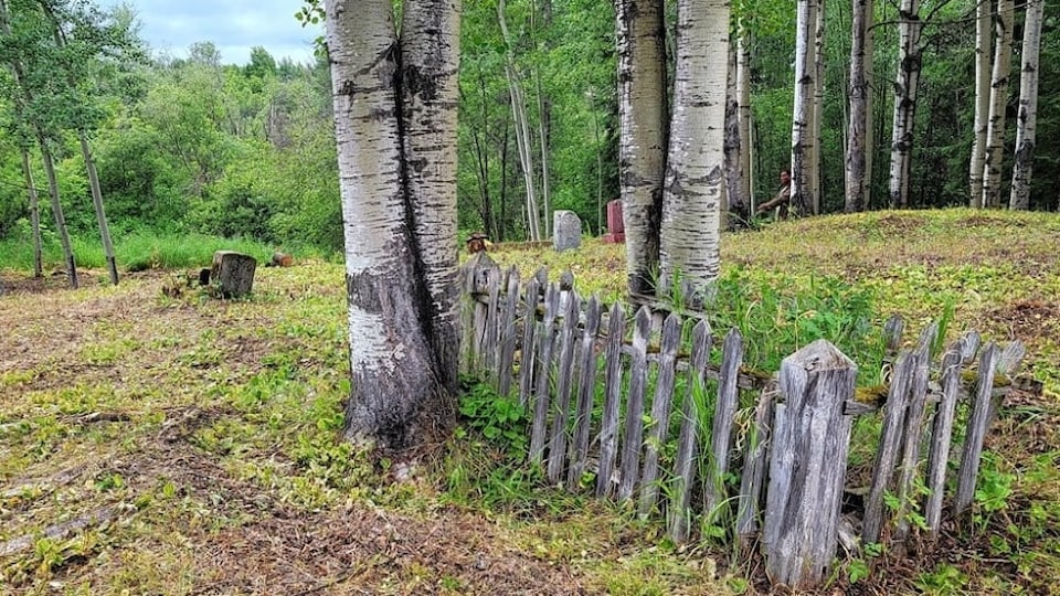 Un cimetière avec des pierres tombales, une ancienne clôture, des bouleaux. C'est l'été.