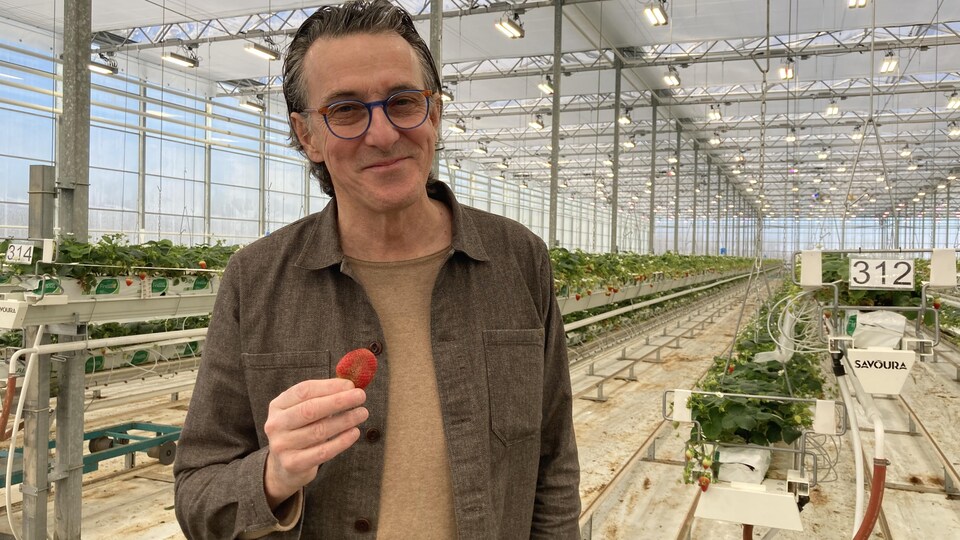 Le porte-parole de Savoura, André Michaud, dans les serres de fraises à Danville, en Estrie.