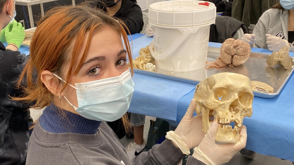 Une élève tient un crâne en plastique dans sa main lors d'un atelier. 