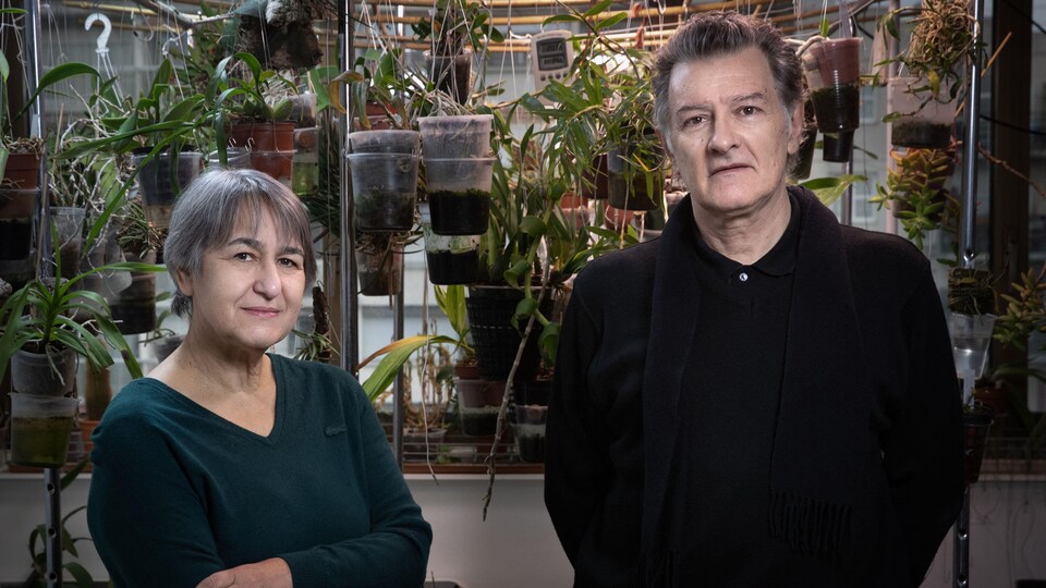 Anne Lacaton et Jean-Philippe Vassal.