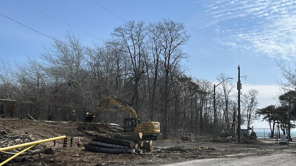 Un tracteur s'affaire sur un terrain débroussaillé. Des troncs d'arbres coupés sont posés près de la machine. Au loin, les vagues bleues de la plage Nickel et d'autres arbres forment le paysage.