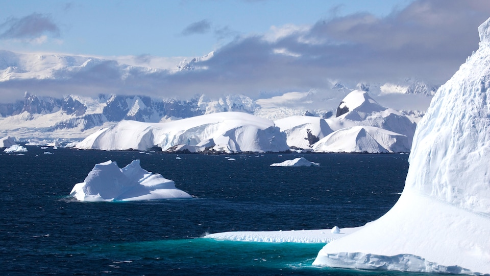 Des icebergs dans le détroit de Gerlache situé dans l'océan Austral.