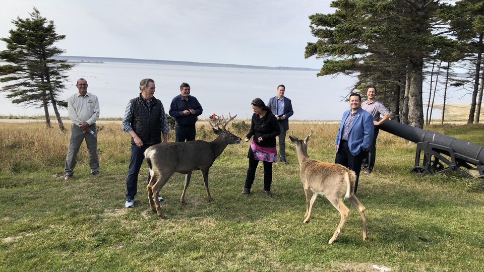 Québec attribue une somme de 1,2M$ à la Municipalité de L’Île-d’Anticosti, pour permettre à l'archipel de faire un pas de plus vers sa reconnaissance comme patrimoine mondial de l’UNESCO.