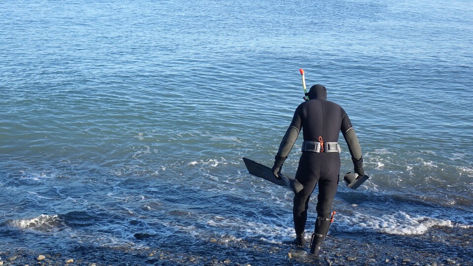 Antoine Nicolas se prépare à aller à l'eau en wetsuit avec ses palmes en main.