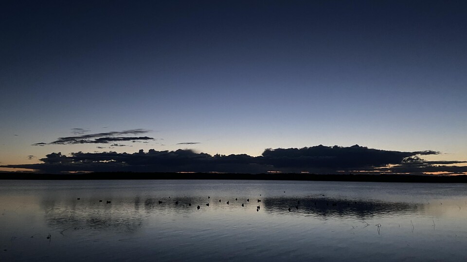Des silhouettes de canard sur l'eau calme d'un lac.