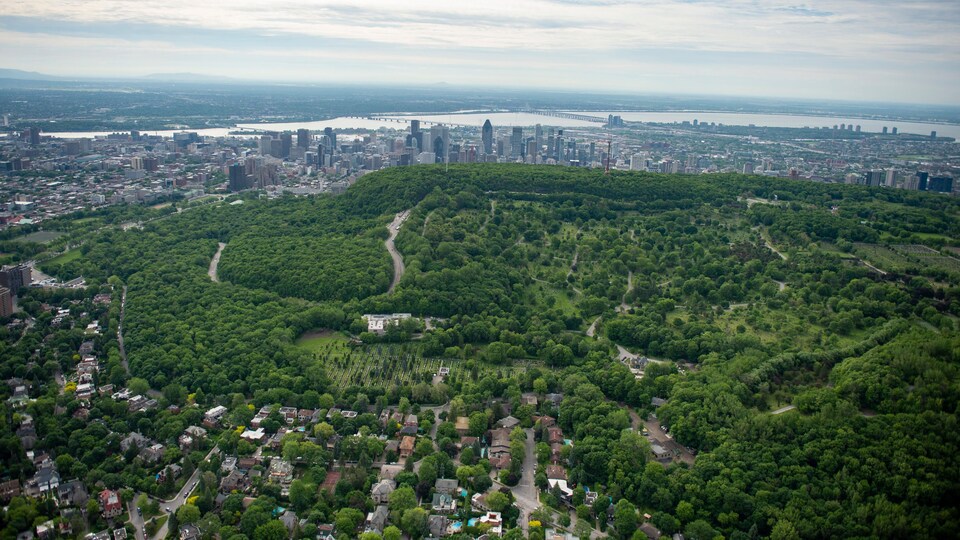 Vue aérienne d'un montagne verte avec les gratte-ciel d'une ville en arrière-plan.