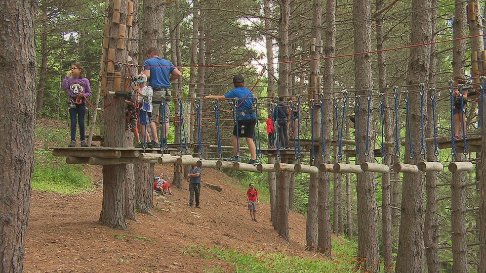 Des jeunes marchent sur un pont suspendu dans le parcours d'arbre en arbre.