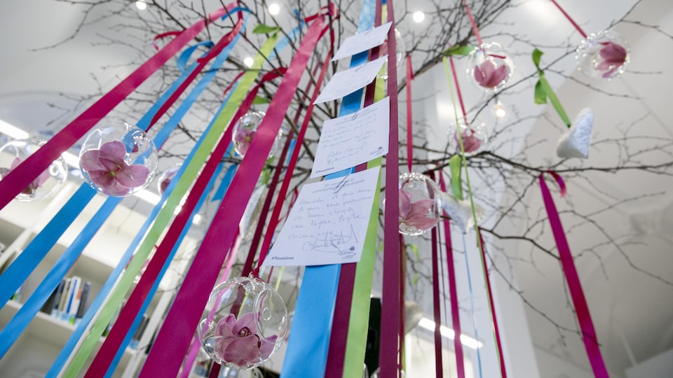 L'arbre à souhait situé à la Maison de la littérature de Québec