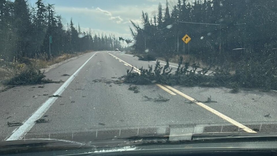 Un arbre jonche le sol sur la route 138.