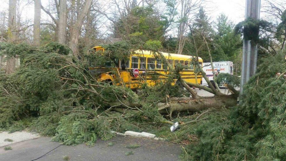 Des arbres tombés à Mississauga sur un autobus scolaire