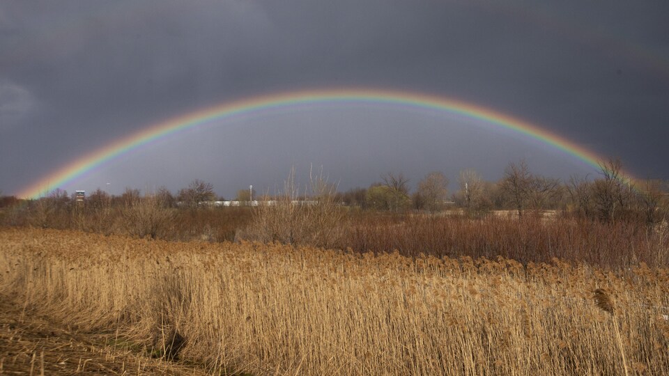 L’arc-en-ciel d’émotions de la pandémie