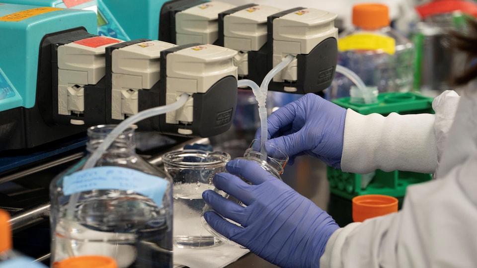 Un chercheur scientifique manipule de l'équipement de pointe au cours de travaux visant le développement d'un vaccin contre le SRAS-CoV-2, dans le laboratoire de l'entreprise Arcturus Therapeutics, à San Diego, en Californie. 