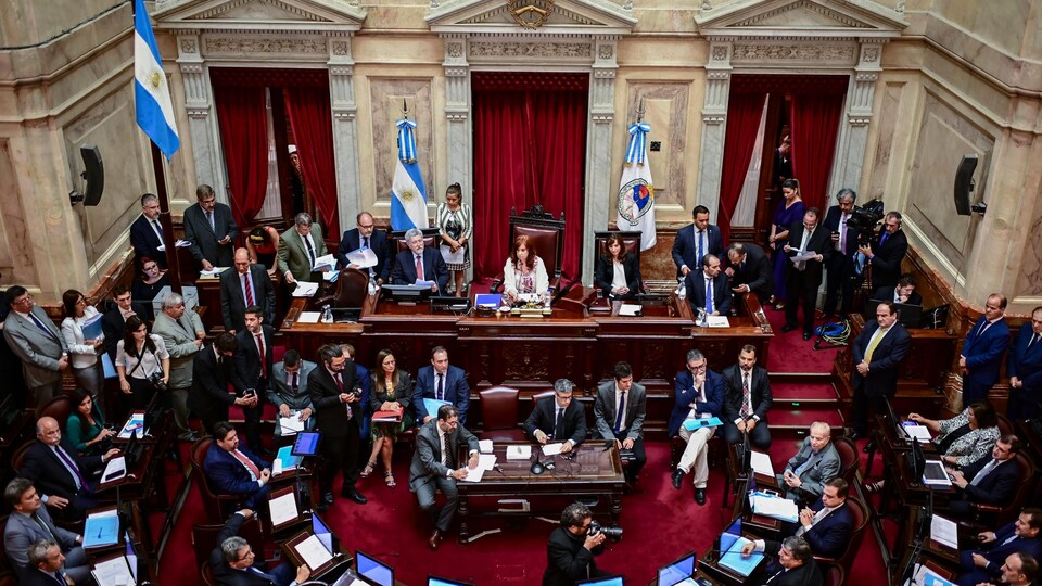 Argentine : les sénateurs approuvent des mesures d'urgence économique