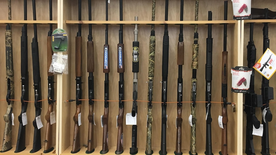 Des armes à feu sont disposées dans une présentoir de magasin.